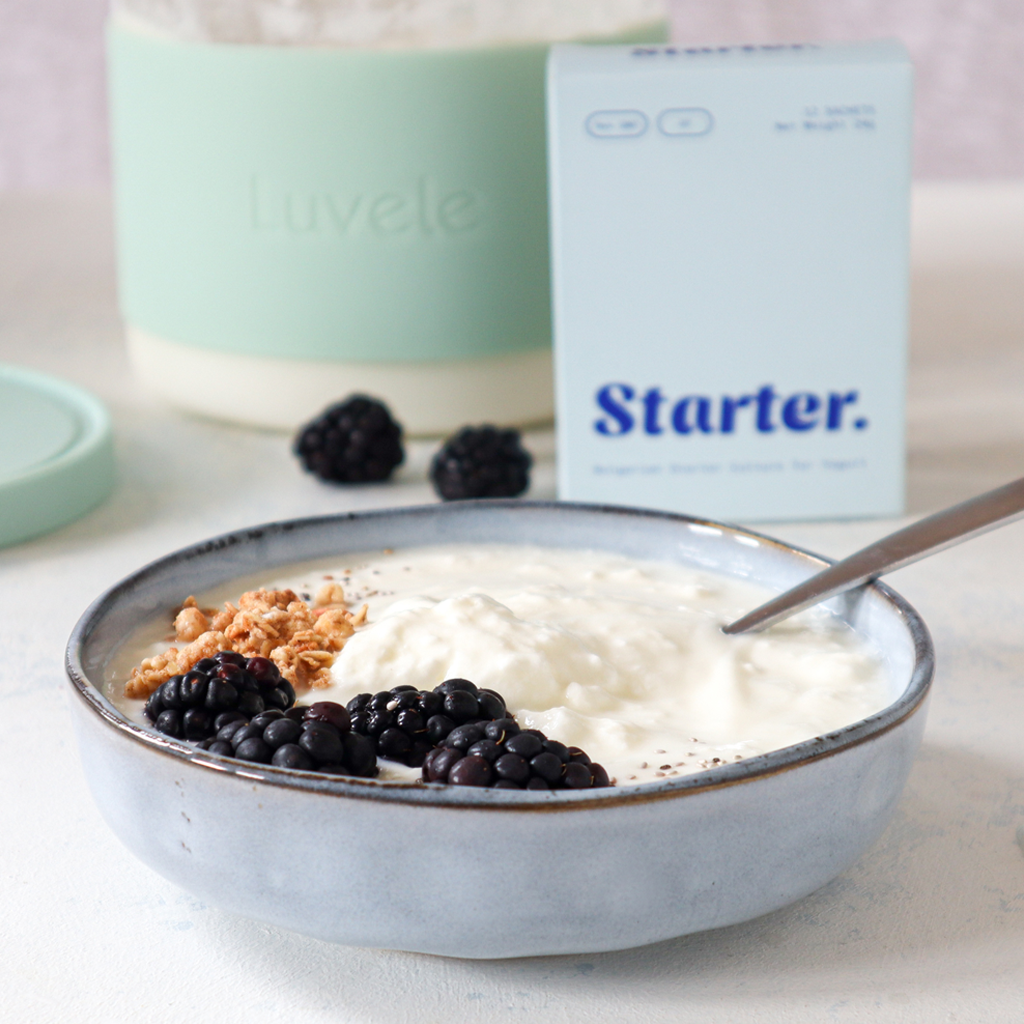 Traditional Bulgarian Homemade Yogurt Recipe