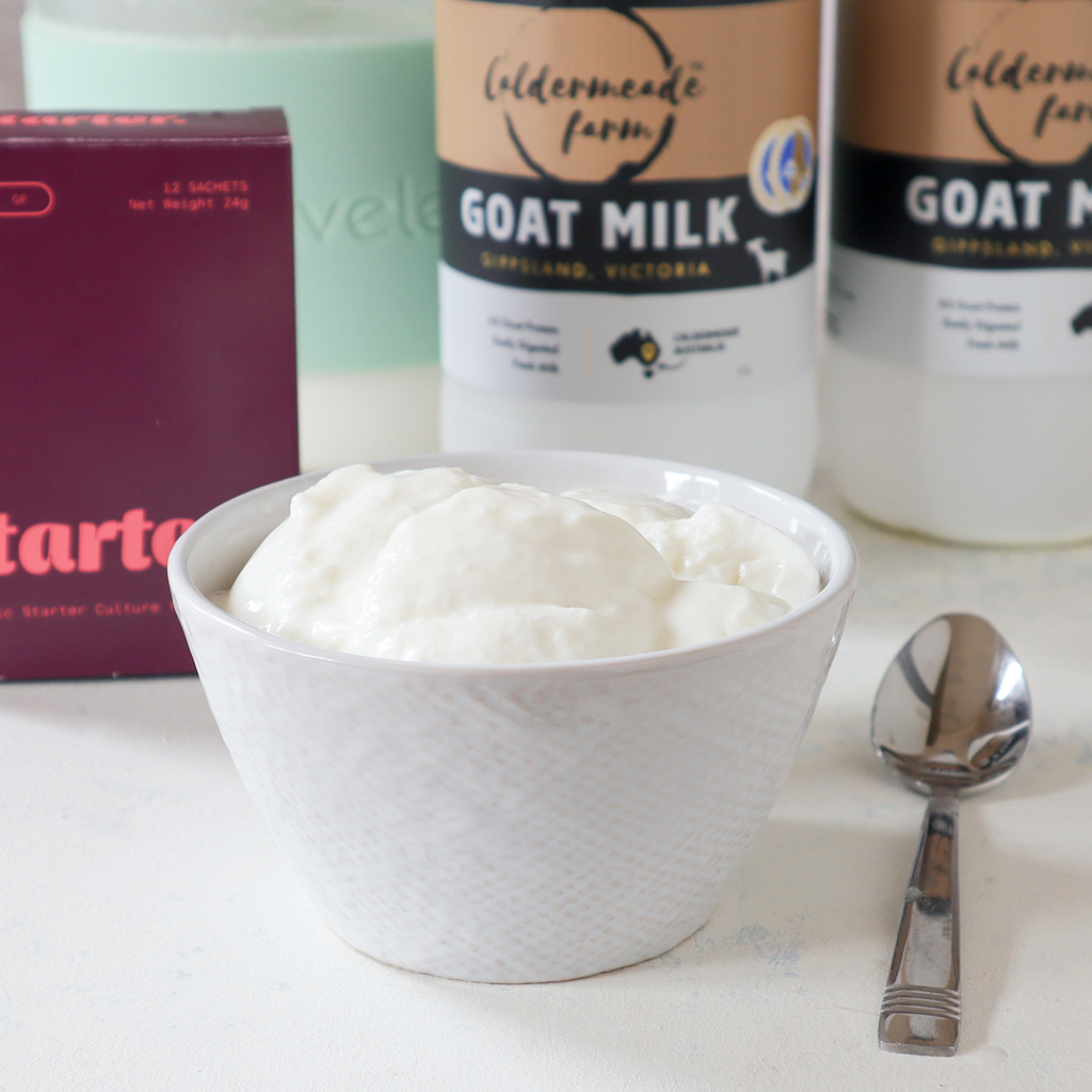 Homemade probiotic goat milk yogurt recipe