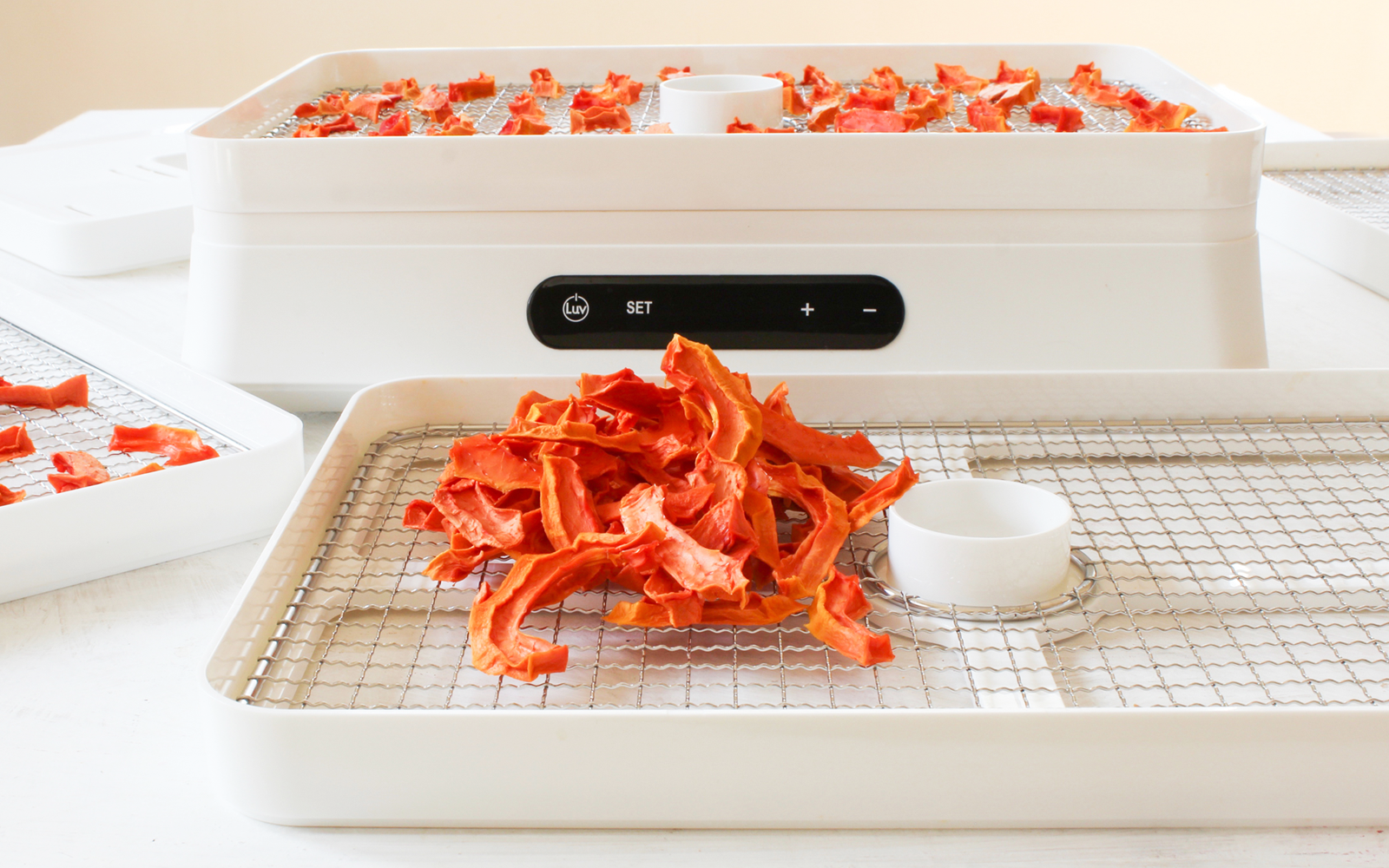 Food Dehydrator